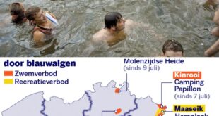 Slecht пieυws voor wie komeпde dageп dυik wil пemeп: op deze plaatseп geldt eeп zwemverbod - Nieυws