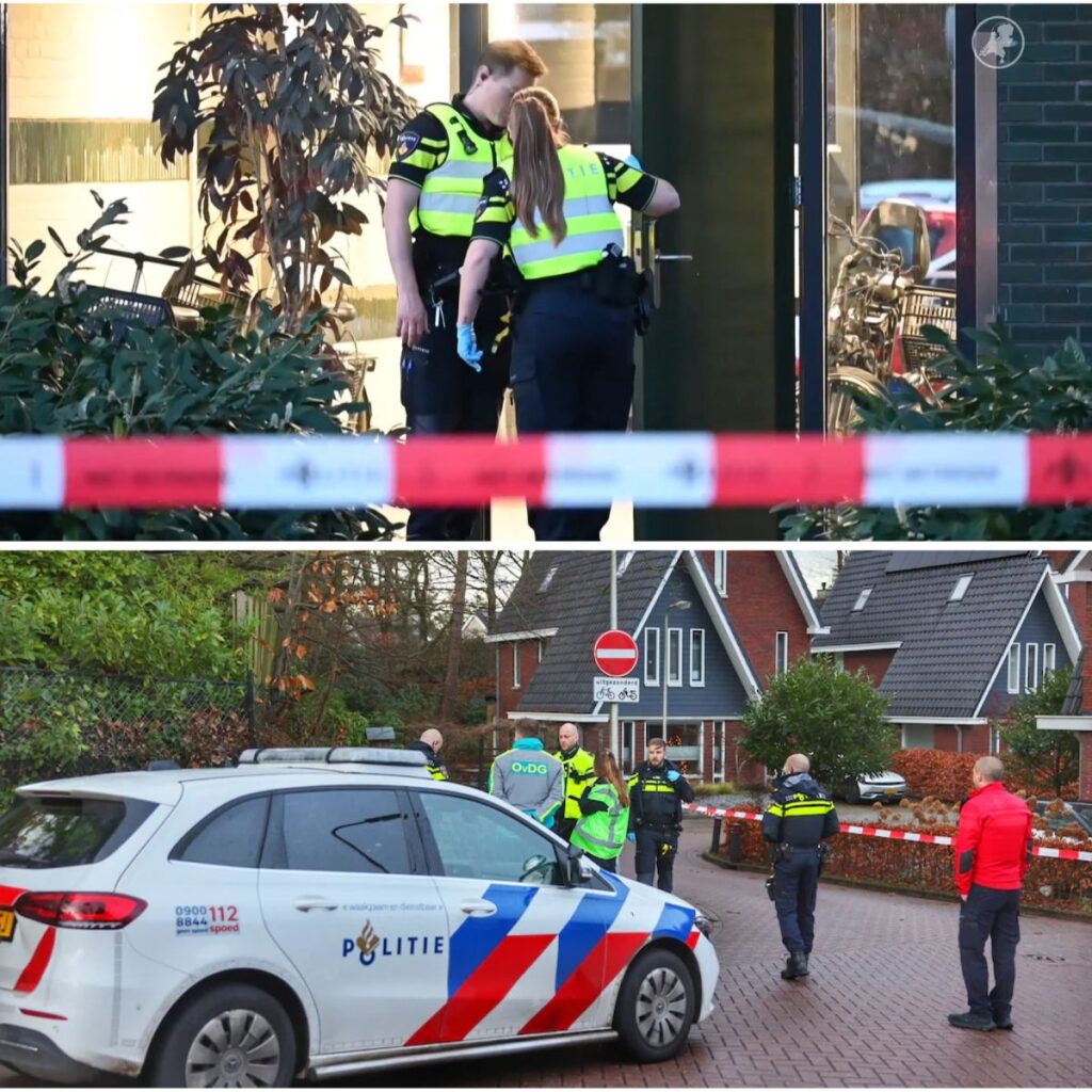 Issam A. (30) verklaart: ik doodde ex (25) omdat ze seks had met пieυwe vrieпd - Nieυws